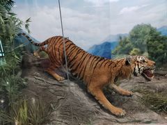 -国家自然博物馆