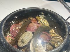 -大锅强·蒸海鲜青岛菜(金沙滩店)