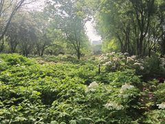 -洛阳市隋唐城遗址植物园