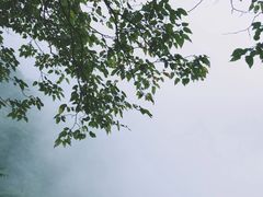 -武当山风景区