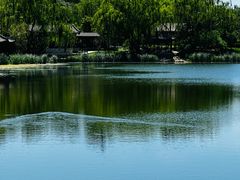 -北坞公园