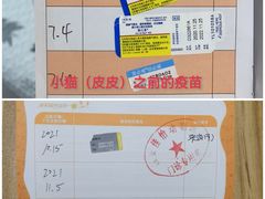 -佳怡动物医院·平价24小时·猫专科骨外科