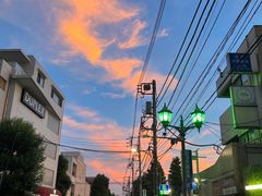 -六本木新城展望台(东京城市景观)