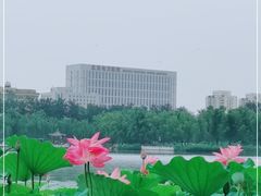 -北京电力医院