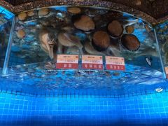 协成海鲜火锅-协成海鲜火锅(情侣路店)