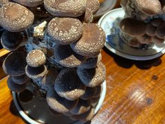 -先机®·泉水鸡汤(七星岗店)