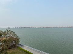 -大湾区中央湿地公园