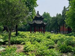 -洛阳白马寺