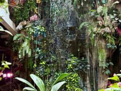 -正佳雨林生态植物园
