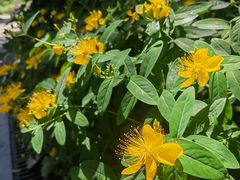 -苏州河梦清园环保主题公园