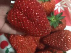 -红星农博物流中心