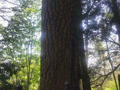 -丹山赤水风景名胜区