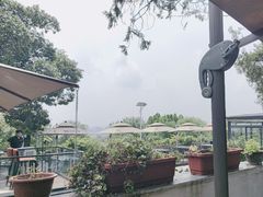 -蘇河湾·新鲁菜·泰山宴(泰山店)