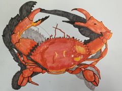 -八哥美术·成人美术画室(总校区)