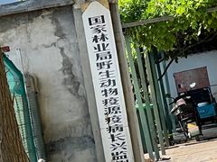 -中国扬子鳄村
