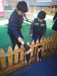 -萌宠亲子动物乐园(槐房万达店)