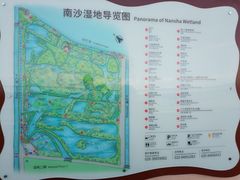 -大湾区中央湿地公园