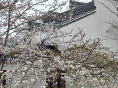 -堤角公园