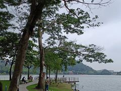 -顺峰山公园