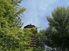 -玲珑塔公园