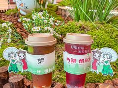 -炖物24章·顺时轻养茶(黄龙店)