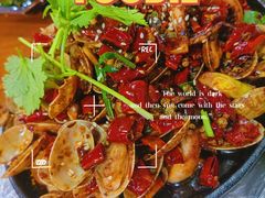 铁板鱿鱼花甲-陈有良尖椒鸡(渝中旗舰店)