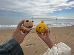 -北戴河东海水浴场