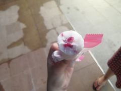 -蒲公英(五里店)