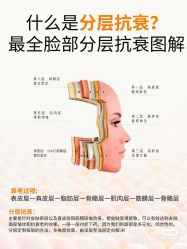 点击看大图 -玛莲朵·海菲秀冰珀科