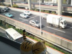 -龙阳路磁悬浮列车总站-停车场