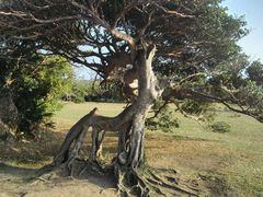 -鹅銮鼻公园