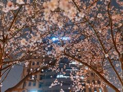 -安定门(地铁站)