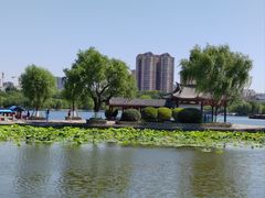 -济南大明湖景区