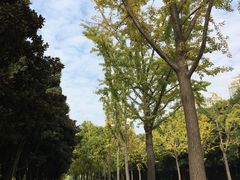 -苏州河梦清园环保主题公园