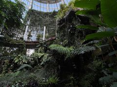 -昆明植物园
