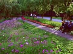 -华东政法大学(松江校区)