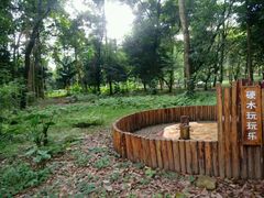 -南宁良凤江国家森林公园