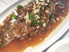 -杨氏青龙虾·羊蝎子(金盛路总店)