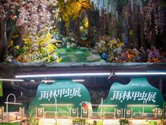 -正佳雨林生态植物园
