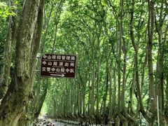 -南京国际会议大酒店