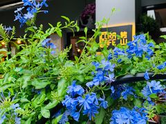 -转山咖啡(松柏社区店)