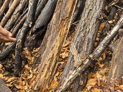 -五女峰国家森林公园