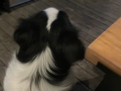 -晃晃悠悠酒肉合作社