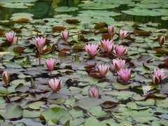 -国家植物园南园