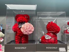-ROSEONLY诺誓(国际广场购物中心店)