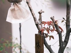 -溯洄咖啡VORTEX COFFEE