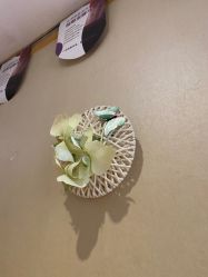 -唯伊美塑身美养连锁