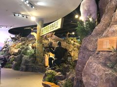 -陕西自然博物馆