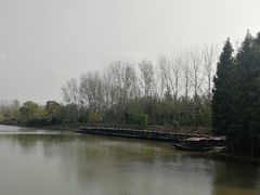 -溱湖国家湿地公园