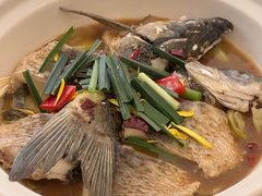 -龙悦湾酒家·八阵鱼生·渔人码头店